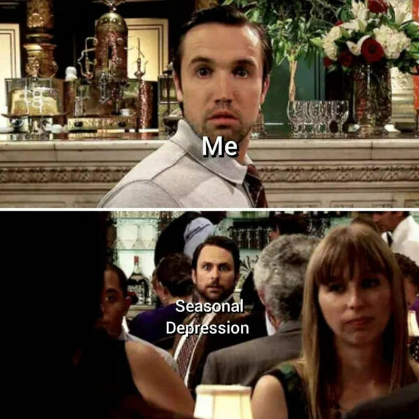 Unhinged Memes From the Depths of the Internet