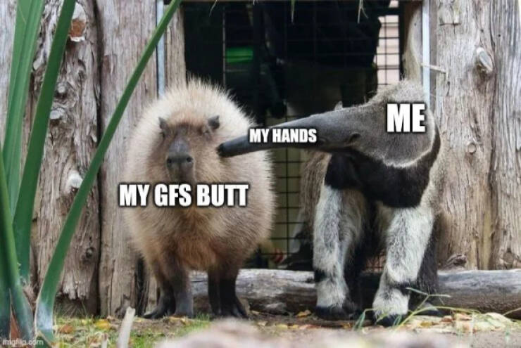 Unhinged Memes From the Depths of the Internet