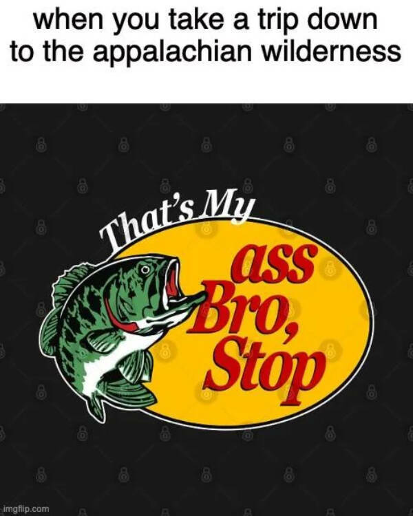 Unhinged Memes From the Depths of the Internet