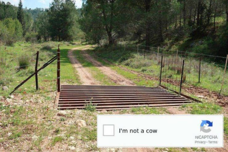 We Could All Use A Helping Hand…