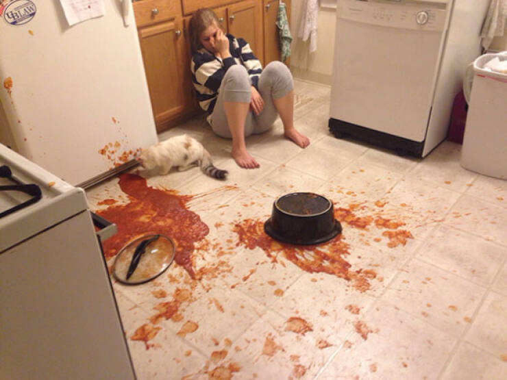 Kitchen Catastrophes Caught on Camera