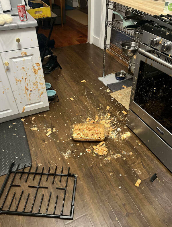 Kitchen Catastrophes Caught on Camera