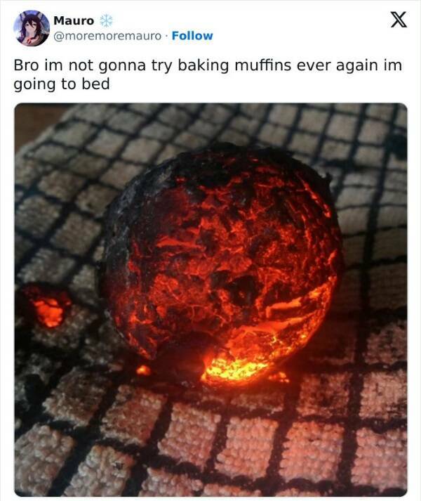 Kitchen Catastrophes Caught on Camera