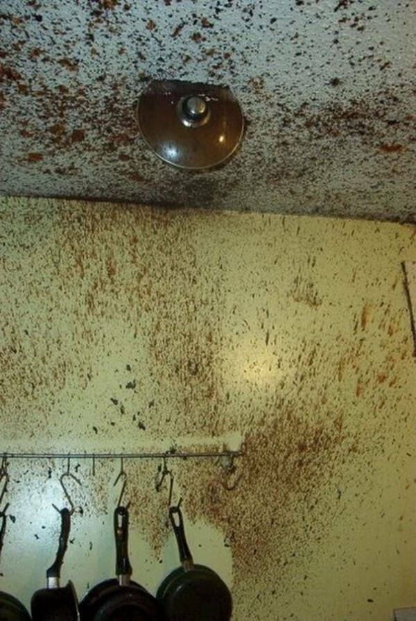 Kitchen Catastrophes Caught on Camera