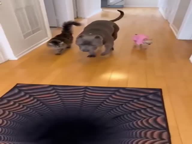 You Have to Check First