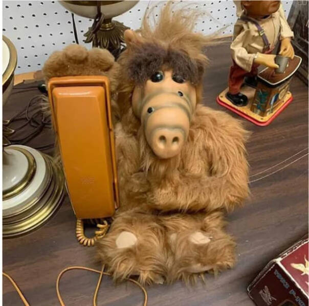 Thrift Shop Finds That Range from Treasure to Trash