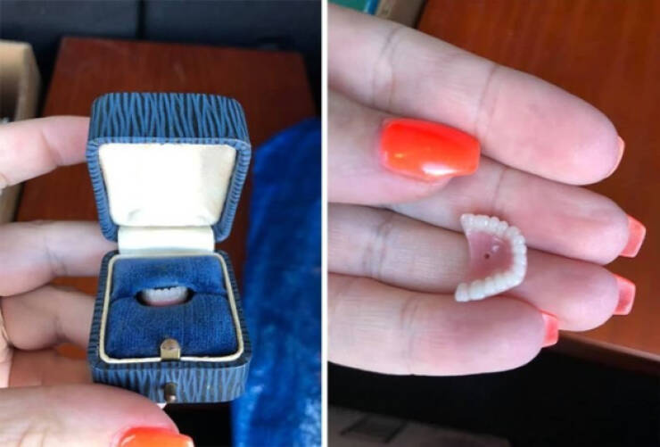 Thrift Shop Finds That Range from Treasure to Trash