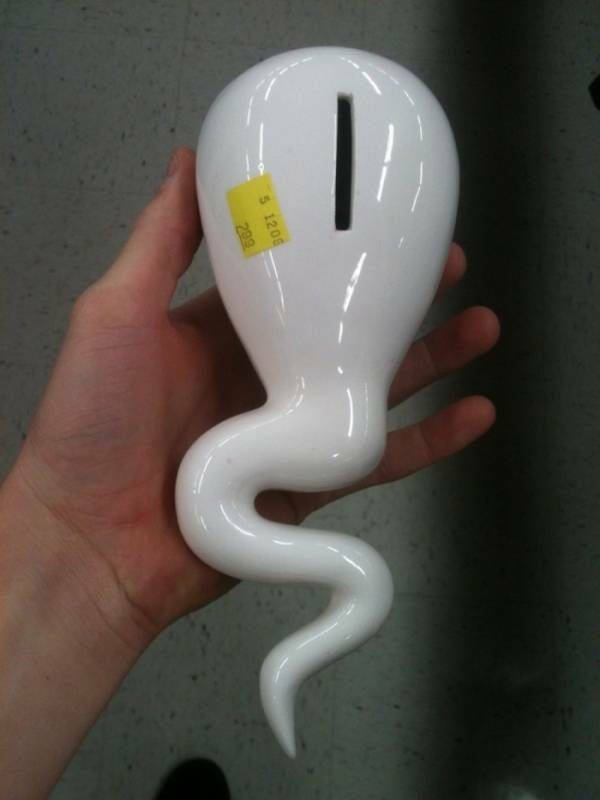 Thrift Shop Finds That Range from Treasure to Trash