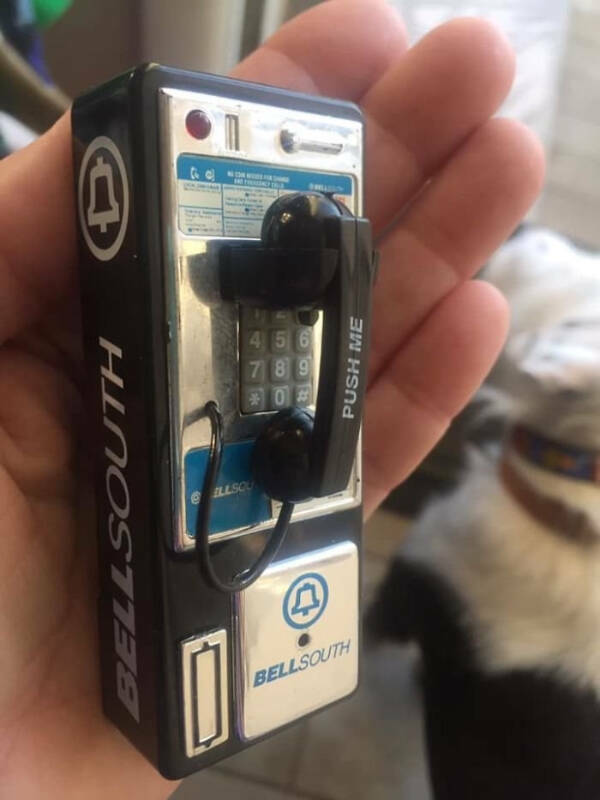 Thrift Shop Finds That Range from Treasure to Trash