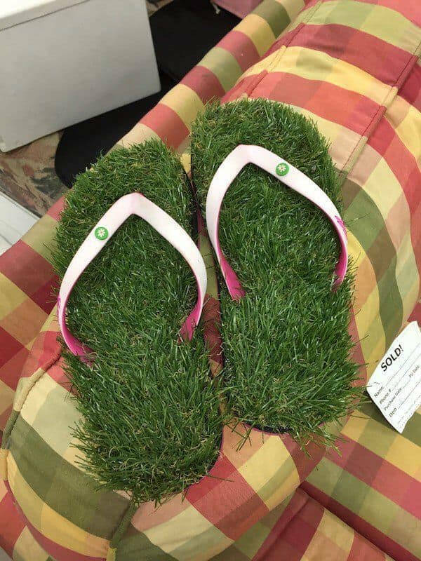 Thrift Shop Finds That Range from Treasure to Trash