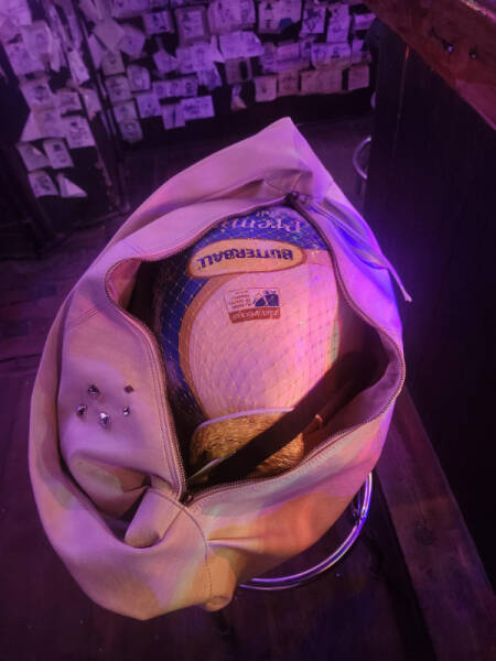 A Small Collection of Cool and Curious Wonders