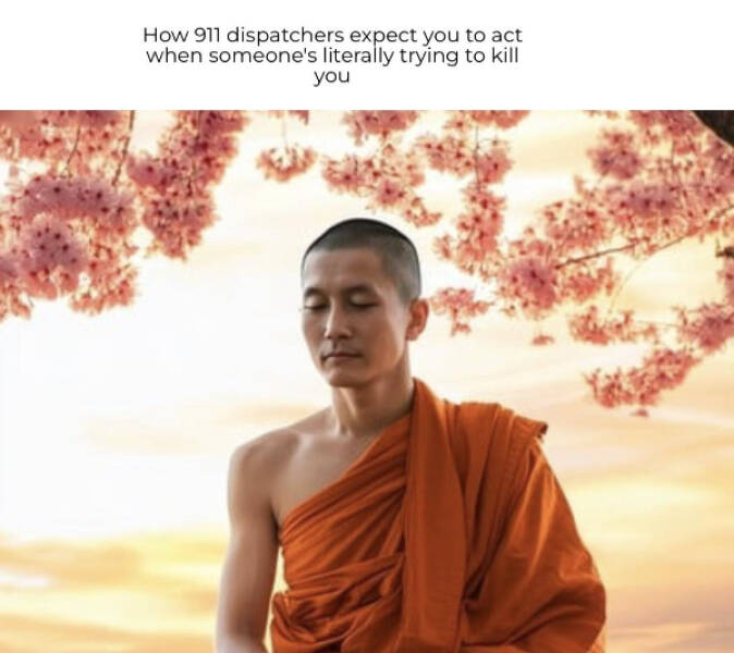 Chaotic Humor for the Terminally Online