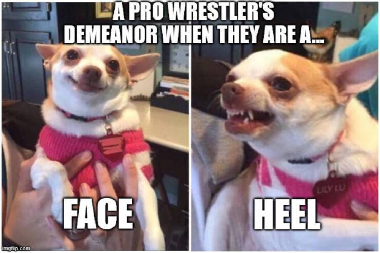 Chaotic Humor for the Terminally Online