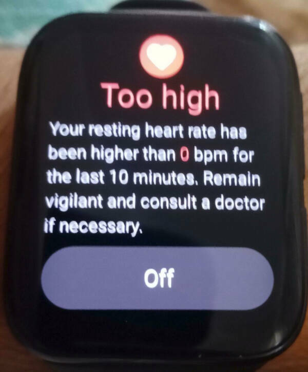 Hilarious Digital Disasters