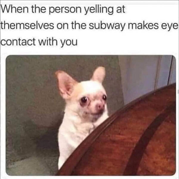 Public Transportation Is Basically the Wild West