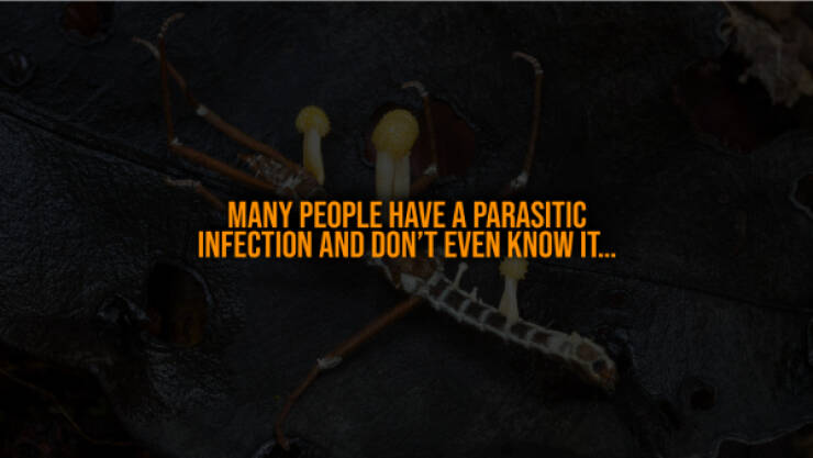 Terrifying Truths You Wish You Didn’t Know