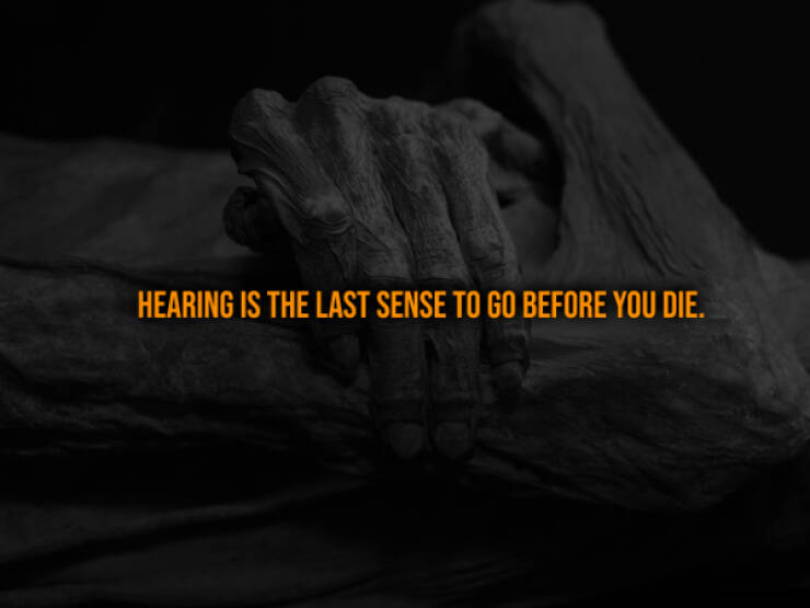 Terrifying Truths You Wish You Didn’t Know