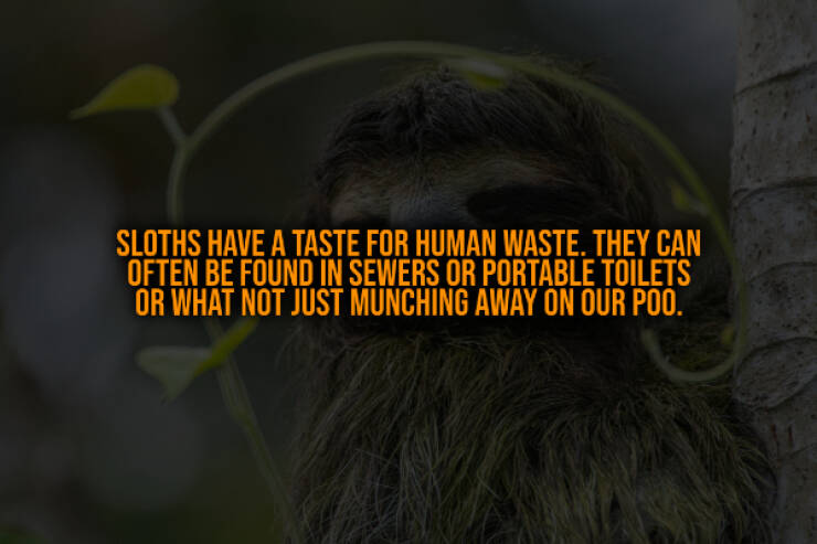 Terrifying Truths You Wish You Didn’t Know