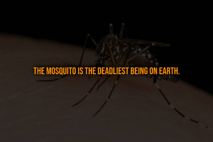 Terrifying Truths You Wish You Didn’t Know