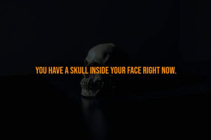 Terrifying Truths You Wish You Didn’t Know