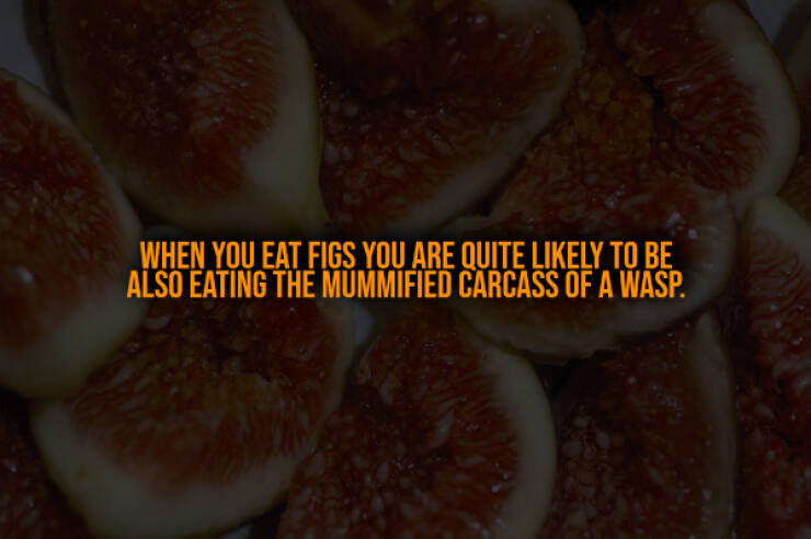 Terrifying Truths You Wish You Didn’t Know