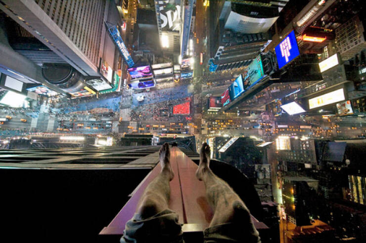 Who Whos Afraid of Heights?