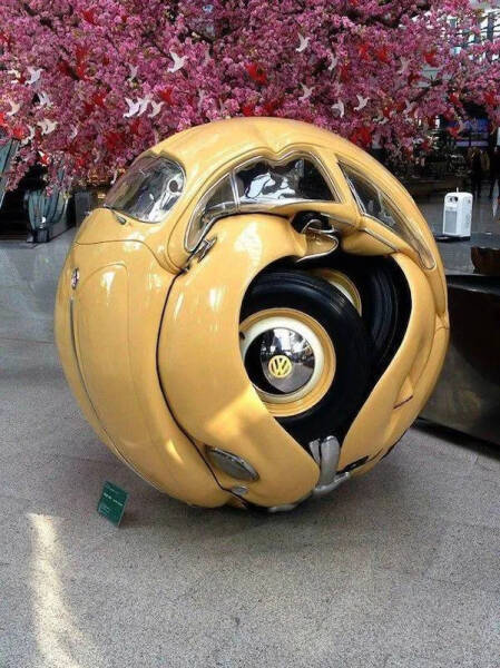 Daily Picdump Daily Picdump