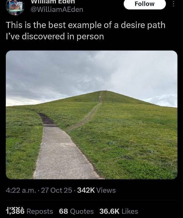 Life Wisdom from the Most Unlikely Places