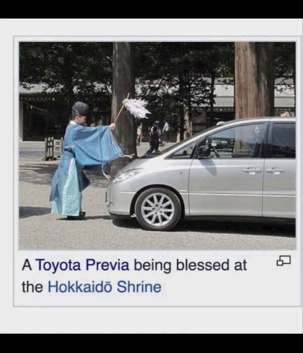 Life Wisdom from the Most Unlikely Places