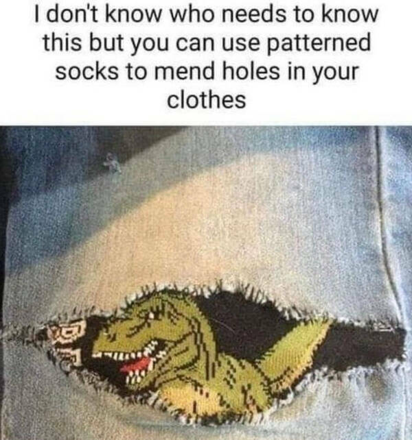 Life Wisdom from the Most Unlikely Places