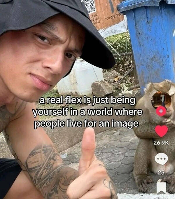 Life Wisdom from the Most Unlikely Places