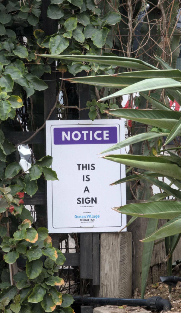 Design Fails That Deserve Their Own Museum