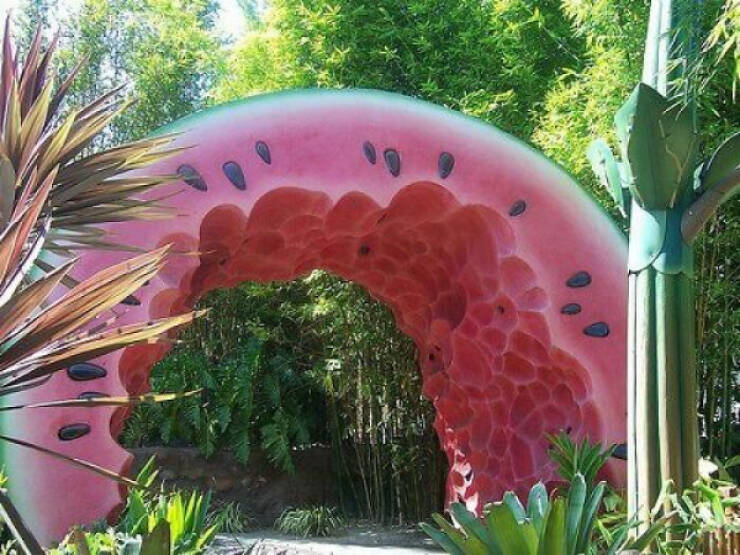 Curiously Nice Oddities