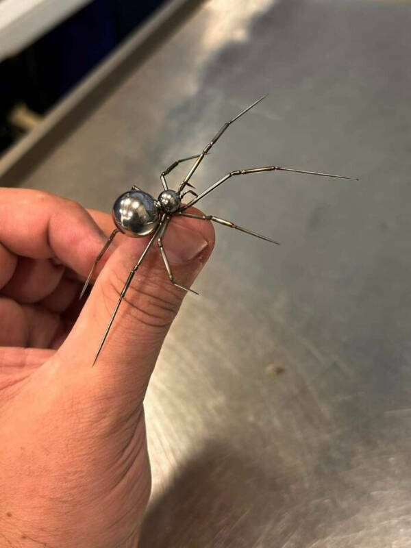 Curiously Nice Oddities