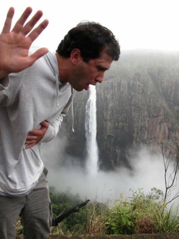 Curiously Nice Oddities