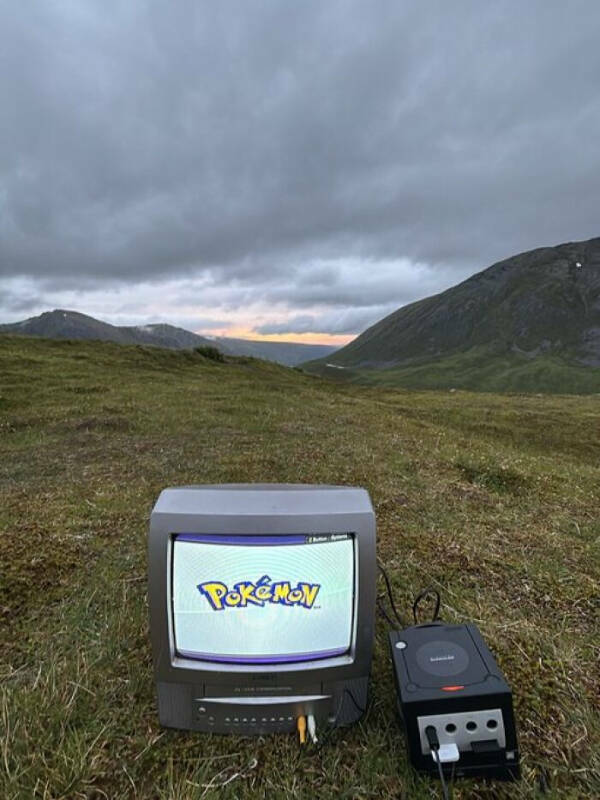 Curiously Nice Oddities