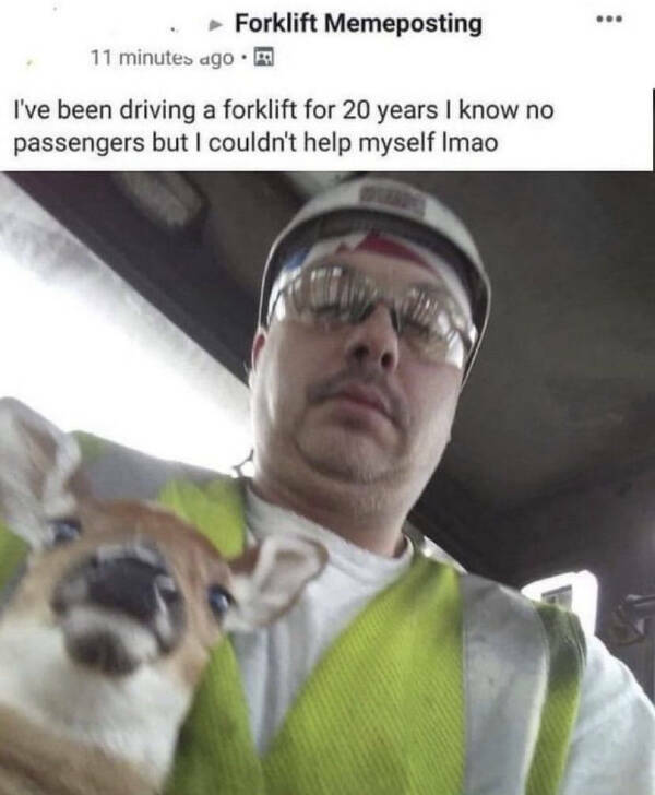 Internet Kindness in Meme Form