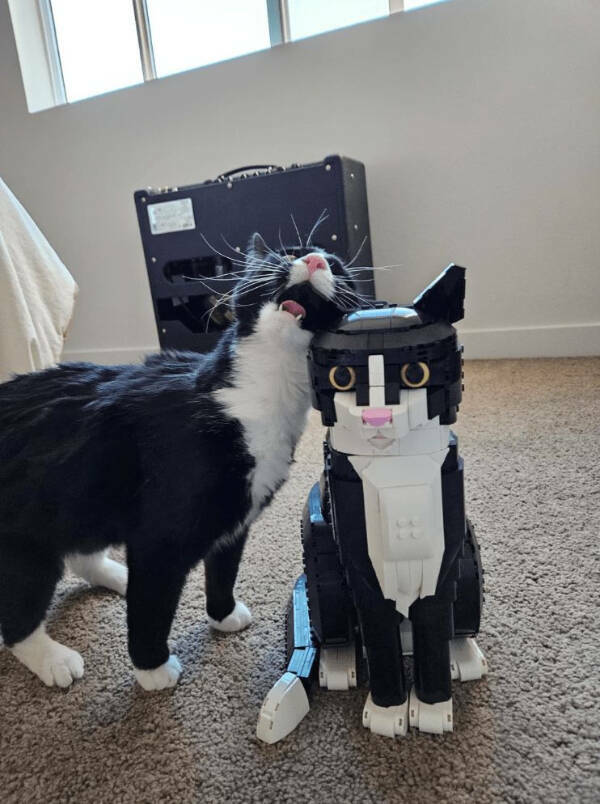 Internet Kindness in Meme Form