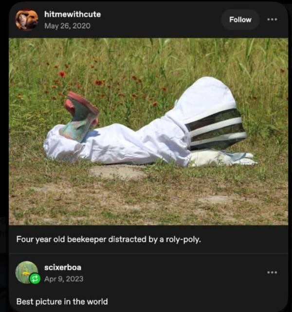 Internet Kindness in Meme Form