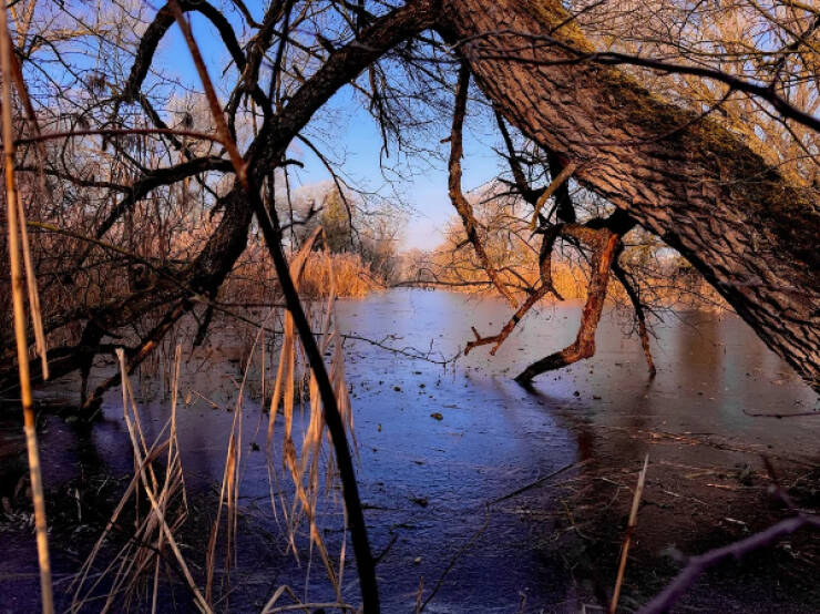 Our Planet at Its Most Beautiful