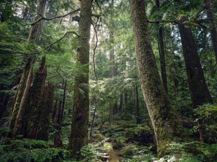 Our Planet at Its Most Beautiful