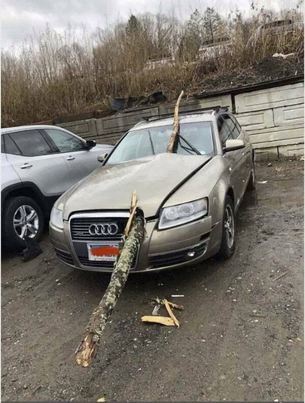 Road Chaos You Have to See to Believe