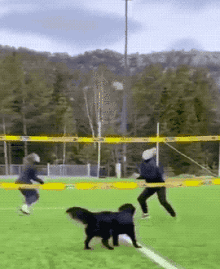 TOP 20 Gifs of the Week