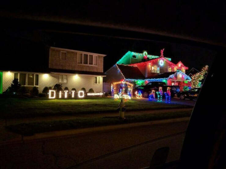 Lazy Genius Moves in the Wild Lazy Genius Moves in the Wild