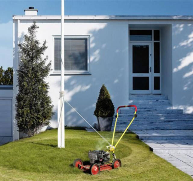 Lazy Genius Moves in the Wild Lazy Genius Moves in the Wild