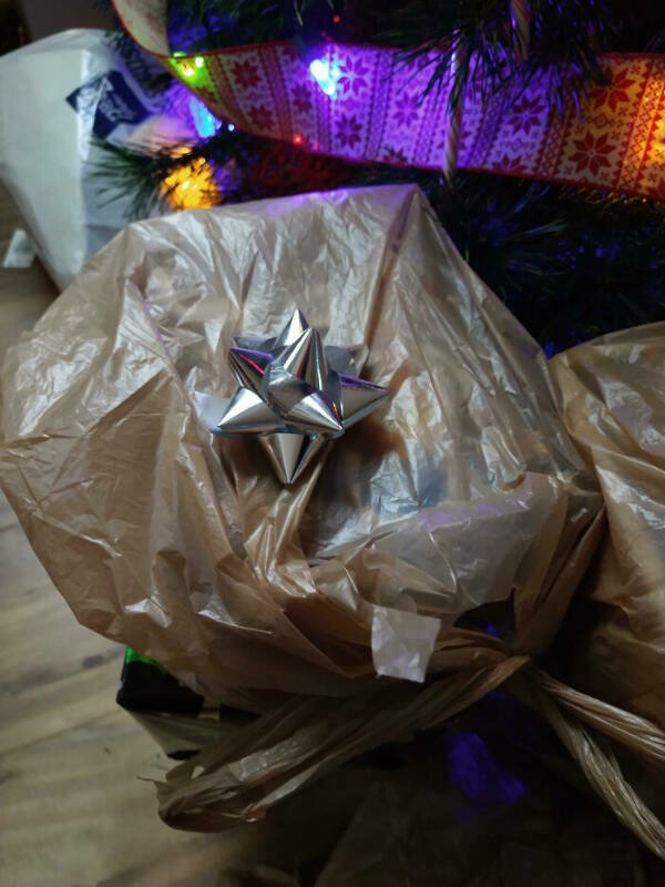 Lazy Genius Moves in the Wild Lazy Genius Moves in the Wild