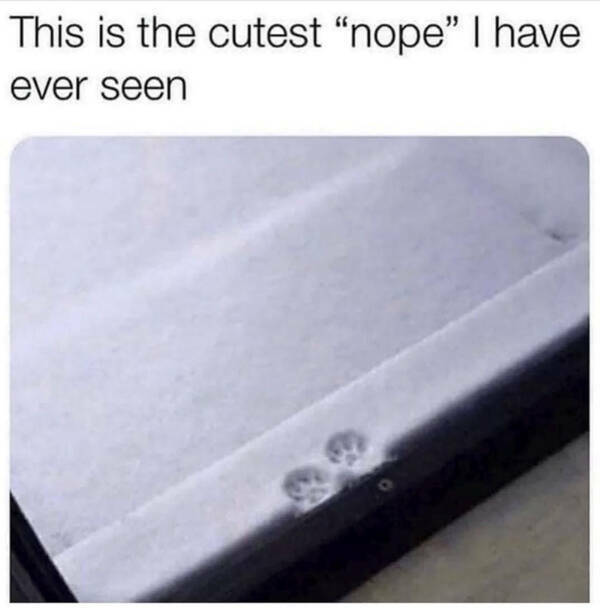 Cold Outside, Warm Laughs Inside Cold Outside, Warm Laughs Inside