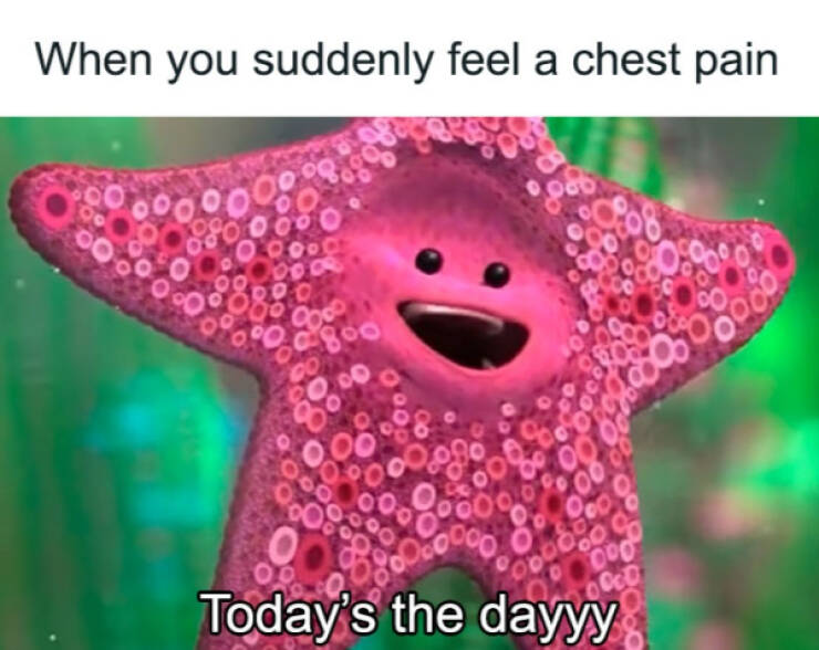 Memes That Understand You Better Than Your Friends Memes That Understand You Better Than Your Friends