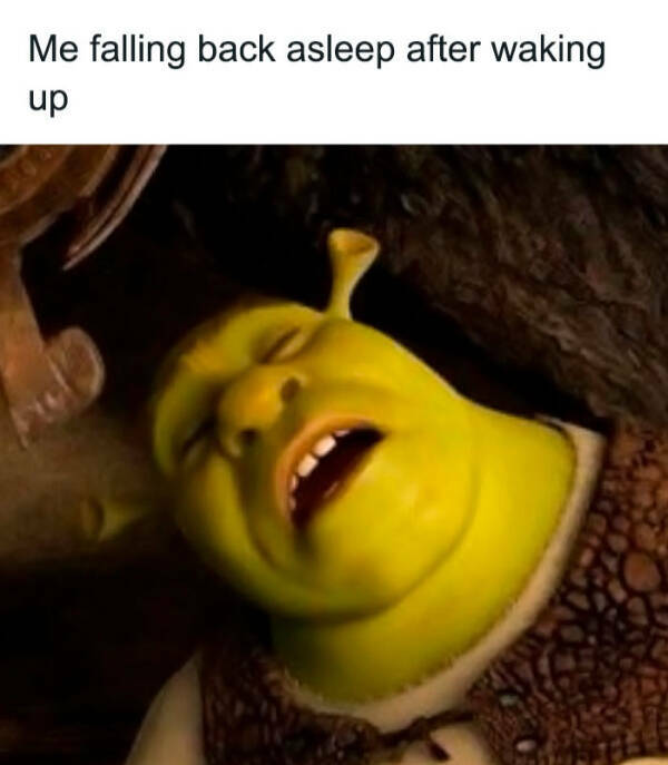 Memes That Understand You Better Than Your Friends Memes That Understand You Better Than Your Friends