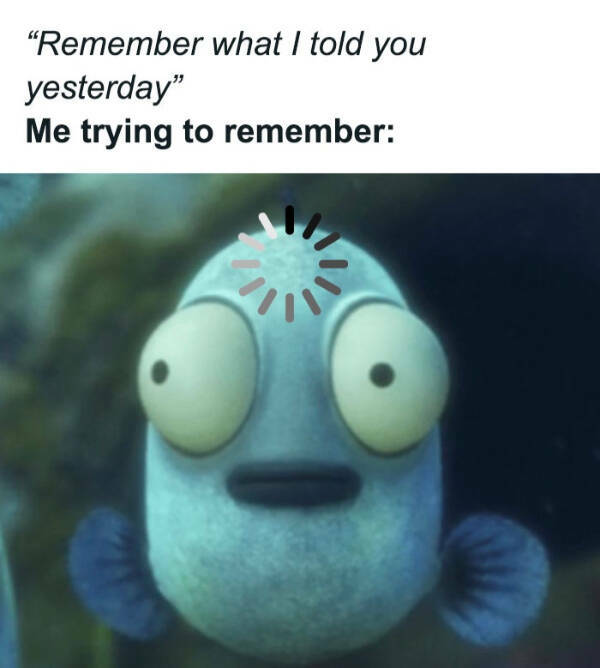 Memes That Understand You Better Than Your Friends Memes That Understand You Better Than Your Friends